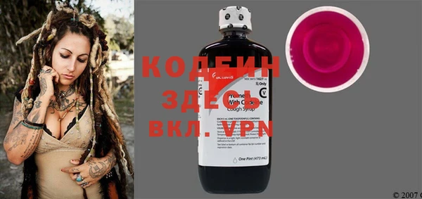 хмурый Белокуриха