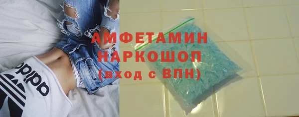 хмурый Белокуриха