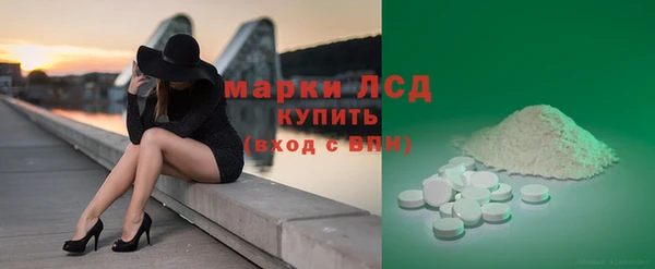 хмурый Белокуриха