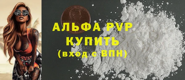 хмурый Белокуриха