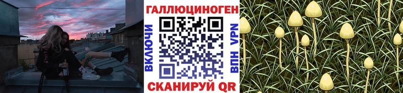 Галлюциногенные грибы GOLDEN TEACHER  Купить  Лагань 